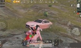 吃鸡新玛莎爆料视频,揭秘神秘游戏新玩法与特色